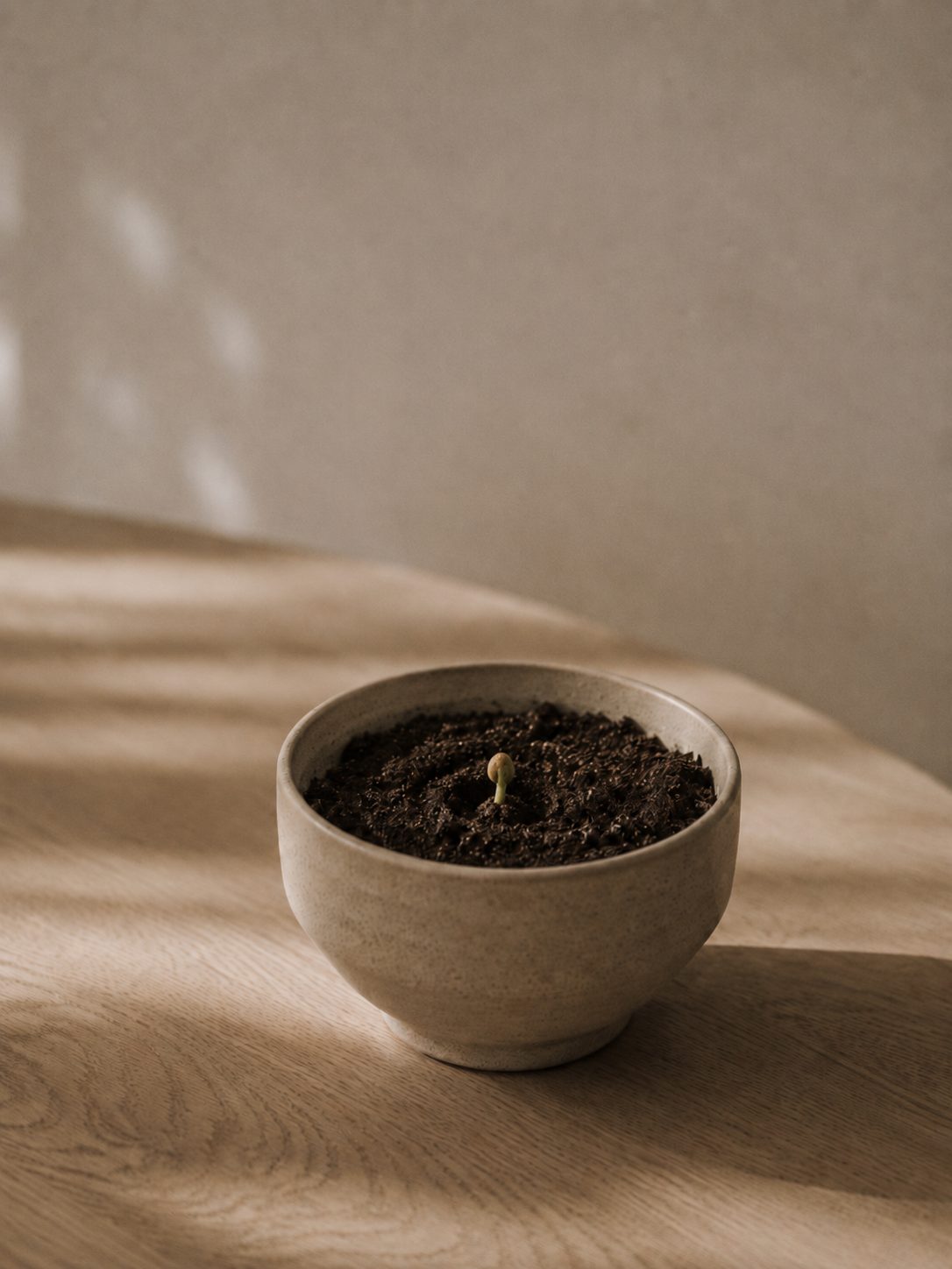 A terra preparada, um começo